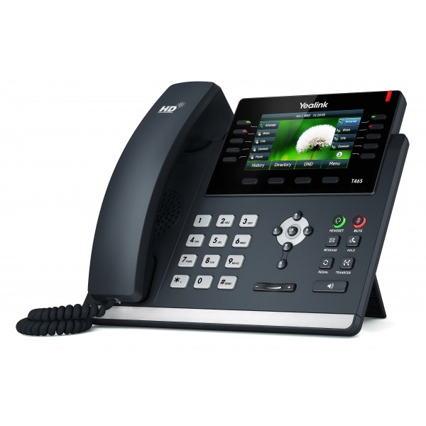 Bludog Telecom provides IP phones for businesses.