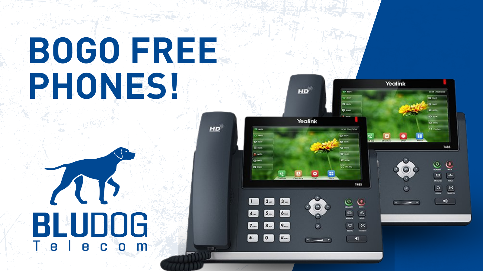 BOGO FREE PHONES with Bludog Telecom BOGO FREE PHONES with Bludog Telecom